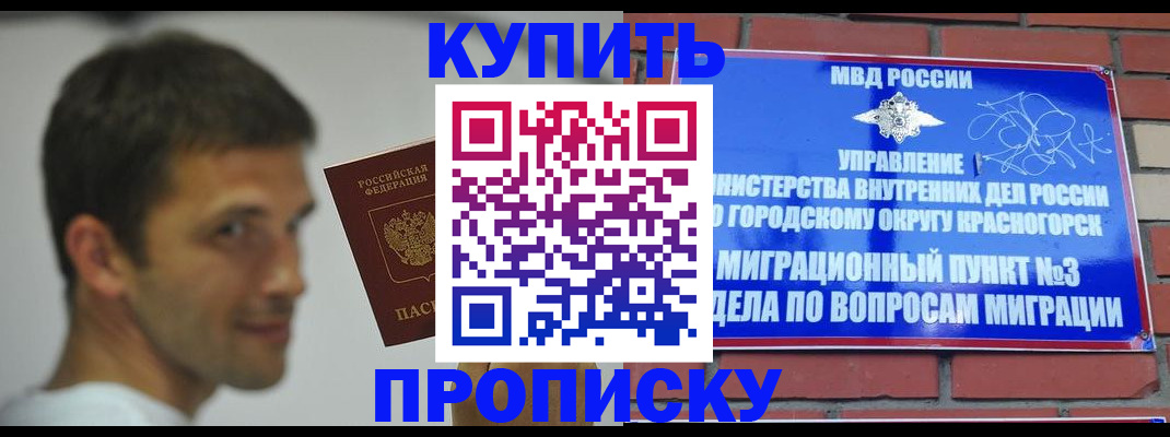 временная регистрация 2025 в Полярных Зорях