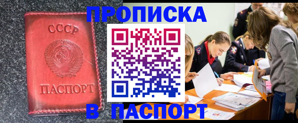 прописка для школы в Полярных Зорях